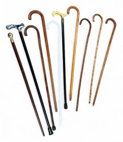 Group of 10 Canes & Walking Sticks
