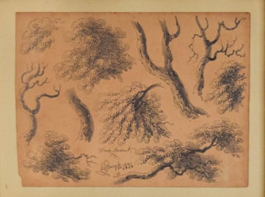H.W. Burgess Pencil Drawing Branches