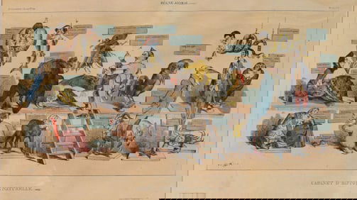 JJ Grandville Lithograph From Regne Animal