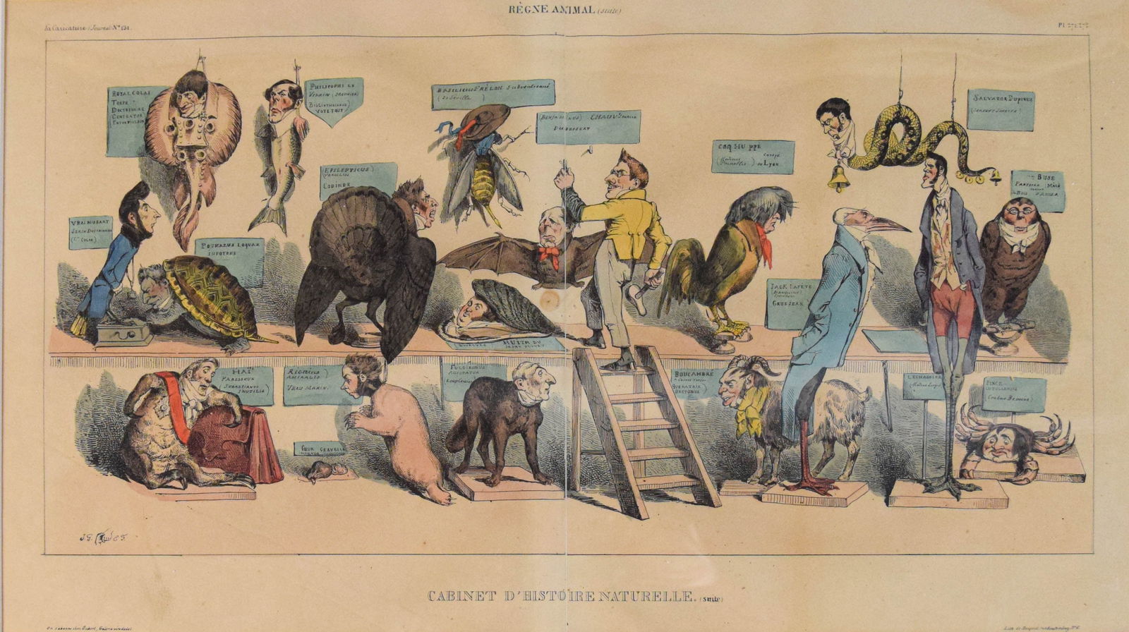 JJ Grandville Lithograph From Regne Animal (1 of 16)