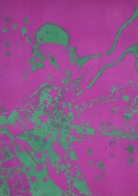 Hapshash & the Coloured Coat Style Poster Hendrix