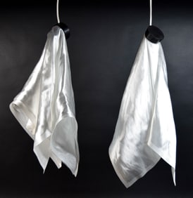 Pair of van Nieuwenborg & Wegman Delight Lamps