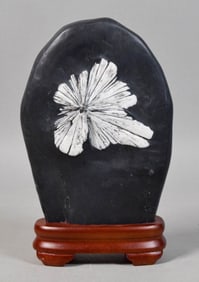 Chrysanthemum Stone