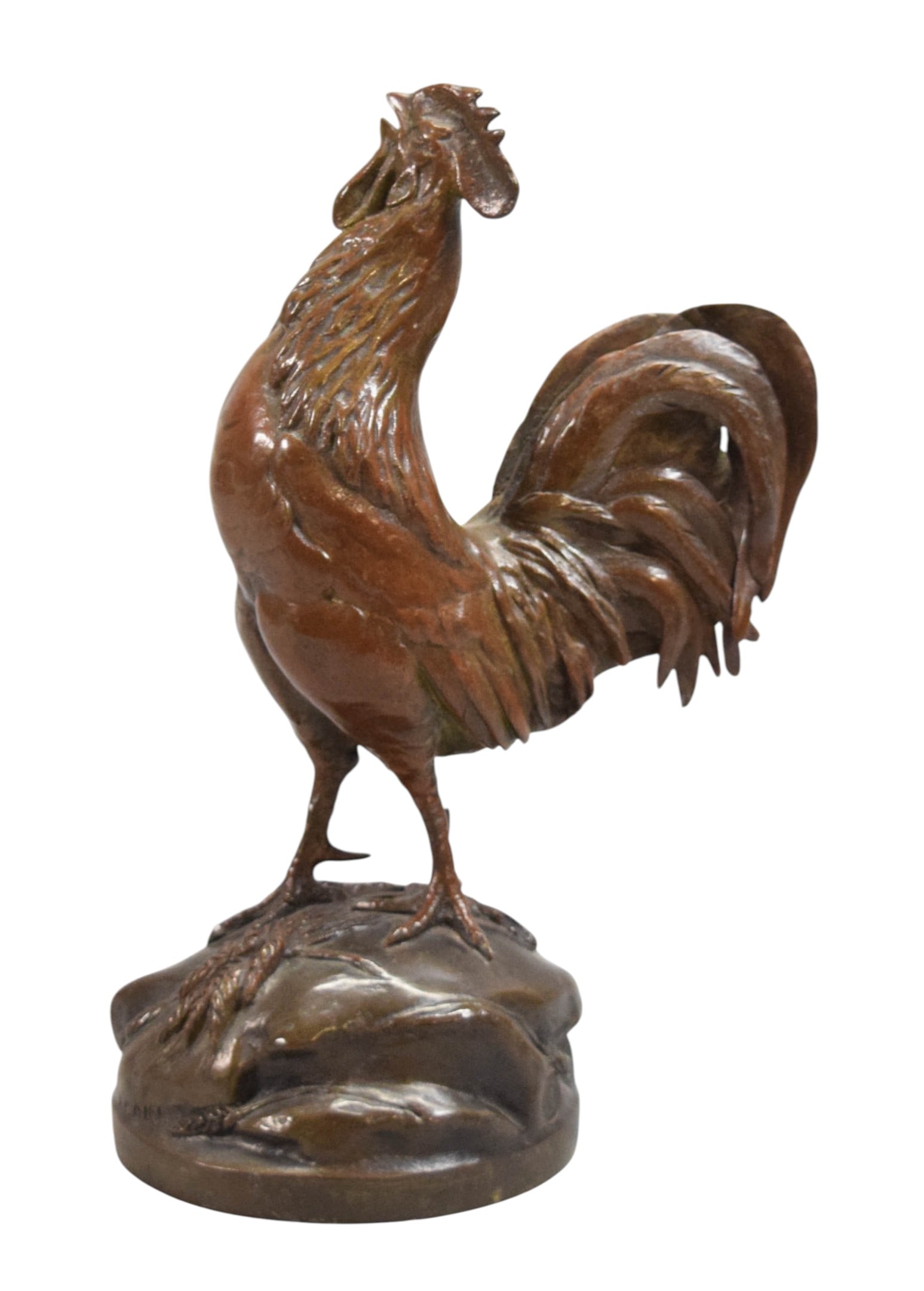 After Auguste Cain Bronze Rooster: After Auguste Nicolas Cain (French, 1821-1894). Bronze sculpture, rooster. Signed A. Cain on the base. Marked Susse Fres Ed. and with Susse Freres foundry mark on the base. 7 3/4"H.