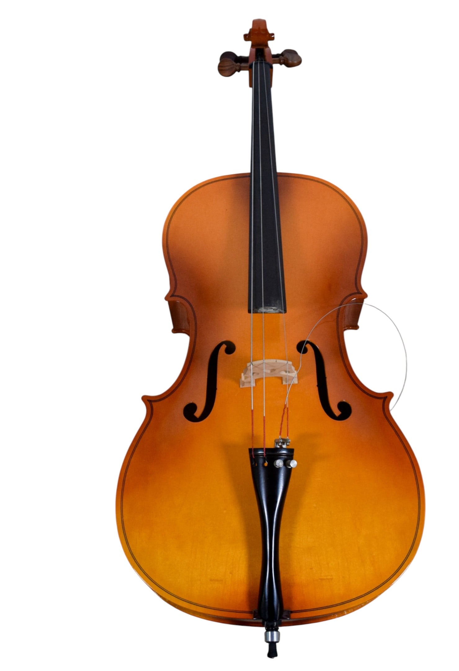 Engelhardt Cello Model 5544 (1 of 11)
