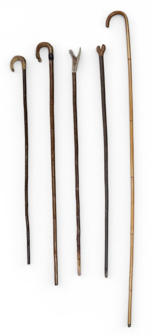 Group of 5 Walking Sticks, Canes, and Shepherd's Crooks: Group of five assorted walking sticks, canes, and shepherd's crooks featuring various natural wood and bamboo shanks. The assortment includes a long bamboo shepherd's crook with a metal ferrule at the