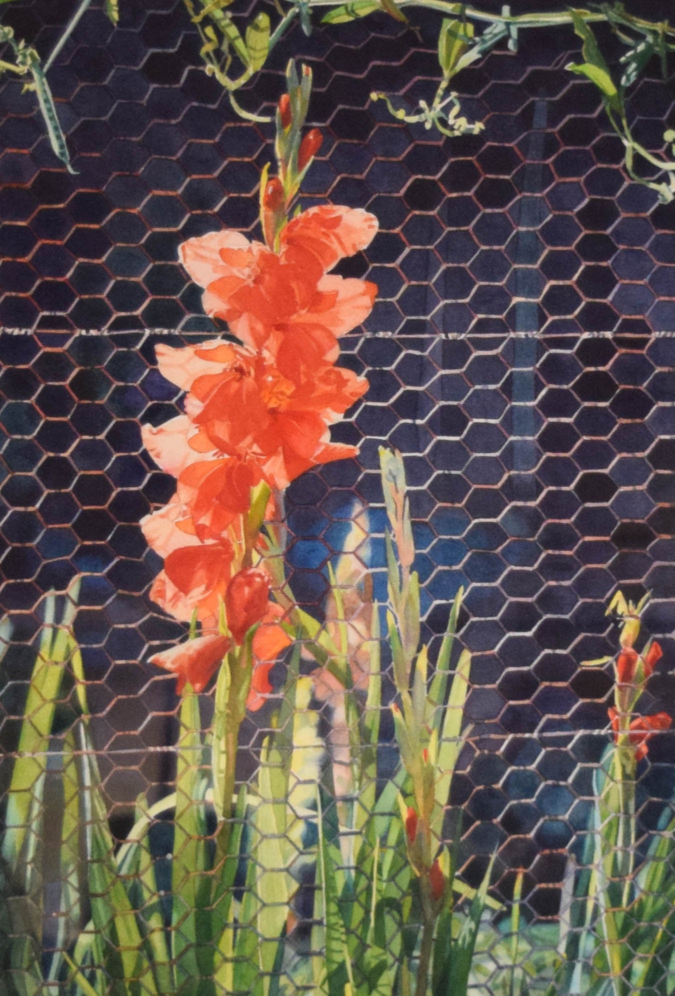 Karen Horn Watercolor Flowers on Fence (1 of 7)