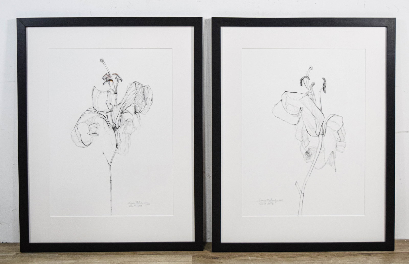 Sydney McGinley Pair of Botanical Lily Drawings: Sydney McGinley (American, 20th/21st Century). Pair of contemporary botanical drawings on wove paper featuring studies of lily blossoms. Both works pencil-signed and dated Sydney McGinley 2004 lower r