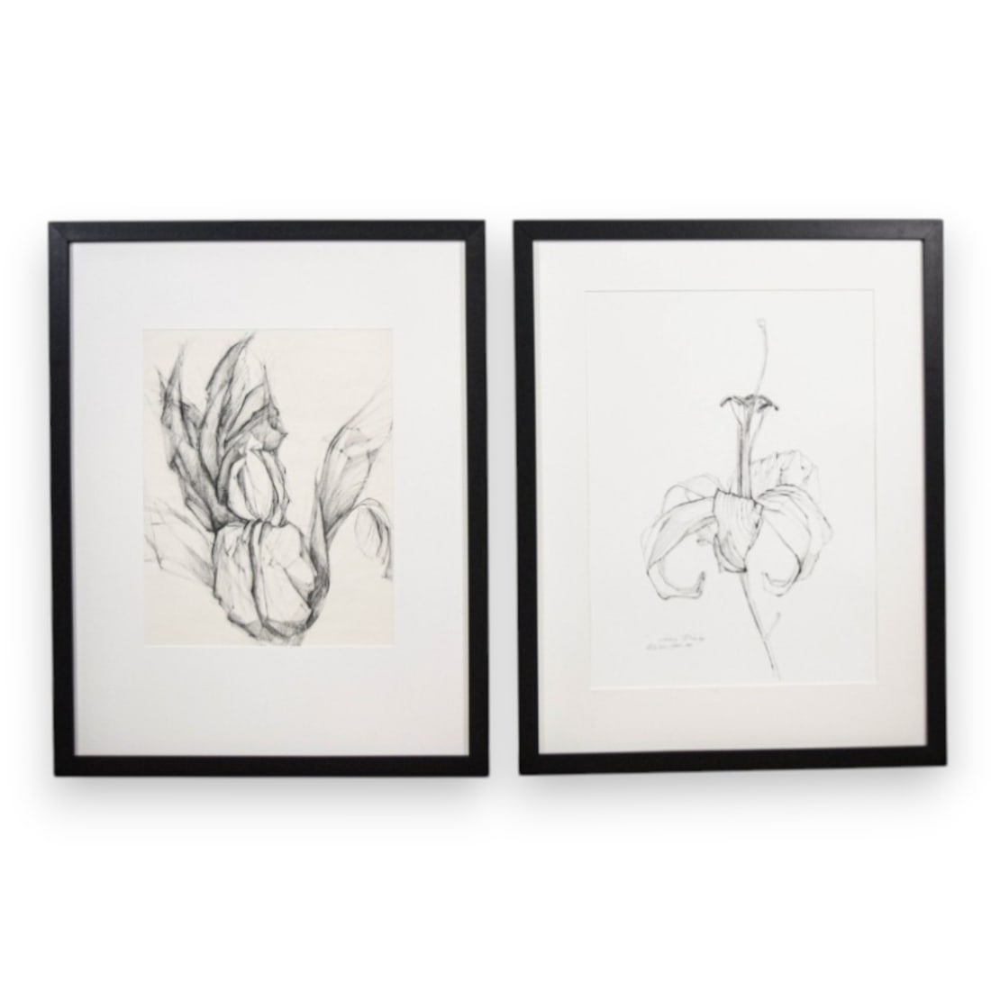 Sydney McGinley Pair of Botanical Drawings Iris and Lily: Sydney McGinley (American, 20th/21st Century). Pair of contemporary botanical drawings on wove paper featuring studies of iris and lily blossoms. Iris drawing signed and dated lower right Syd McGinley