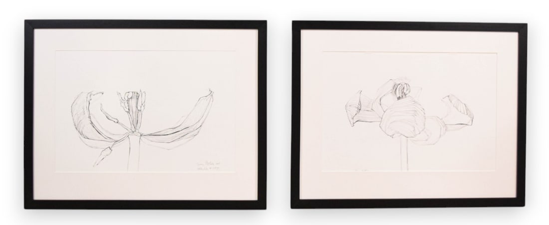 Sydney McGinley Pair of Botanical Tulip Drawings: Sydney McGinley (American, 20th/21st Century). Pair of contemporary botanical drawings on wove paper, titled White Tulip #2597 and First Tulip Series. First drawing signed and dated lower right Sydney