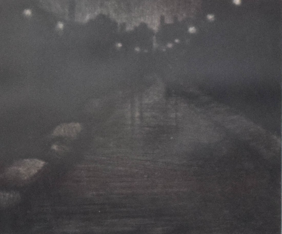Limited Edition Etching Nocturnal Path (1 of 4)