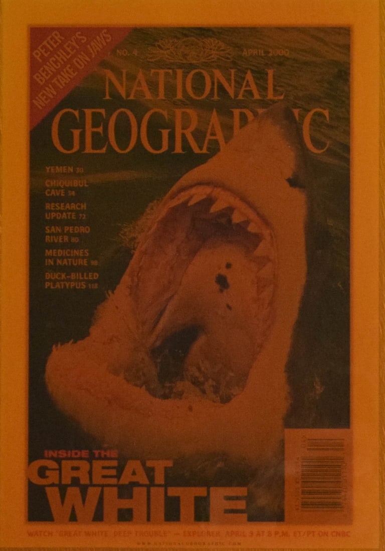 National Geographic Laminated Magazine Cover on Wood Plaque Great White Shark: National Geographic laminated magazine cover from the April 2000 issue, number 4. The cover features a full-color close-up photograph of a Great White shark with printed text including headlines for P