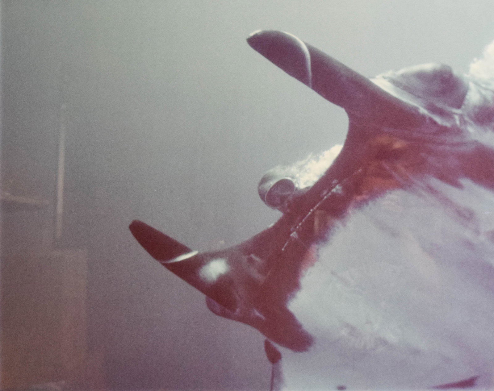 Peter Benchley Diving with Manta Ray, Chromogenic Print: Large-scale chromogenic print of Peter Benchley diving with a manta ray. The underwater photograph features a close-up view of a manta ray, with Benchley and ascending air bubbles visible in the backg