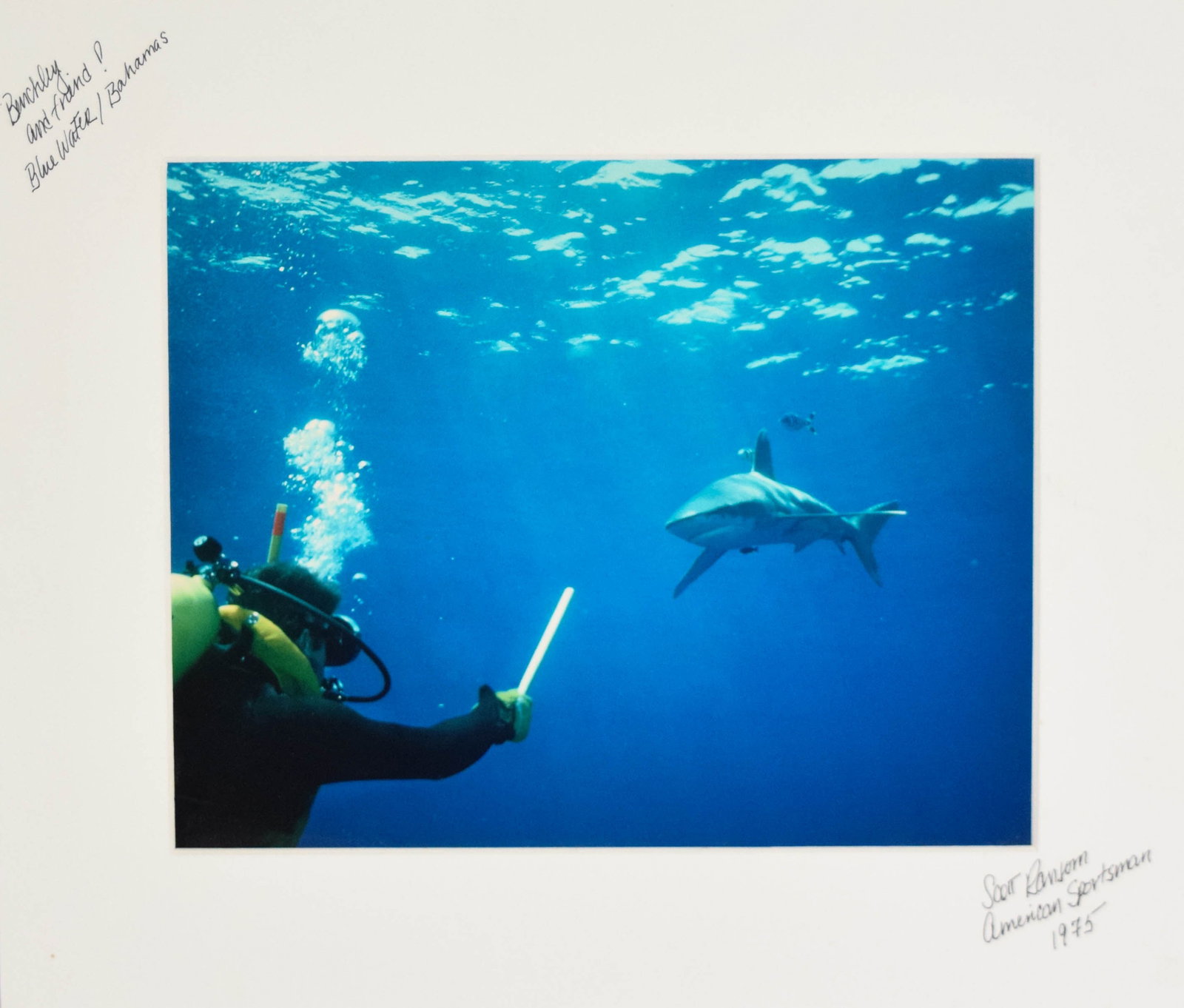 Scott Ransom Chromogenic Print Peter Benchley Diving with Shark: Scott Ransom. Chromogenic color print, Peter Benchley scuba diving with a shark in the Bahamas, 1975. Benchley is captured in profile wearing yellow and black dive gear while extending a protective ro