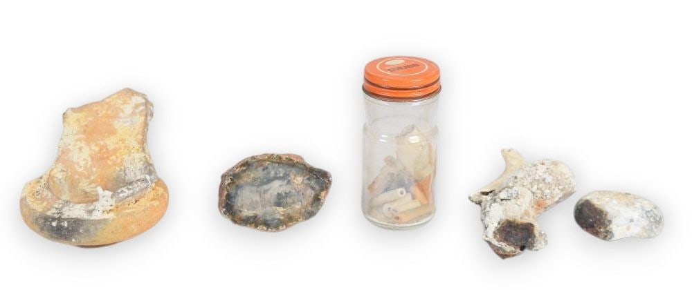Assortment of Archaeological and Geological Specimens: Assortment of various archaeological and geological specimens including items from the Eagle shipwreck. The collection features a large terracotta ceramic fragment, possibly the rim and shoulder of a 
