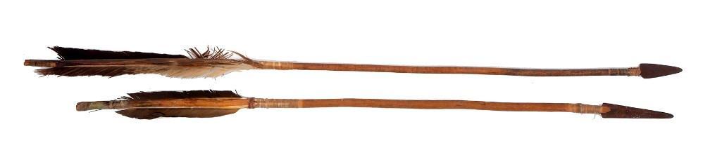 Pair of Iron-Tipped Arrows (1 of 1)