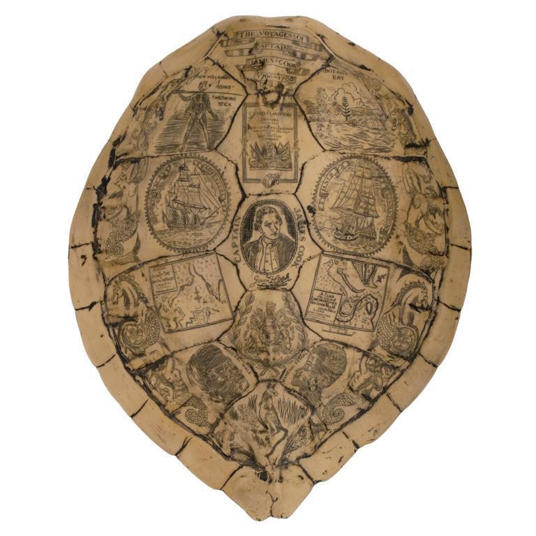 Reproduction Resin Captain James Cook Scrimshaw Turtle Shell: Captain James Cook Scrimshaw Turtle Shell. This shell tells voyages of Captain James Cook in Scrimshaw. It is a REPRODUCTION RESIN production that measures 16"x 12.5" (NOT AUTHENTIC TURTLE SHELL). ***