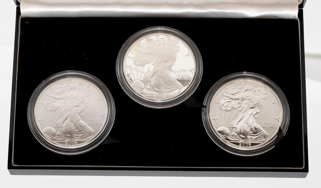 A 2006 American Eagle 20th Anniversary Silver Coin Set (1 of 2)