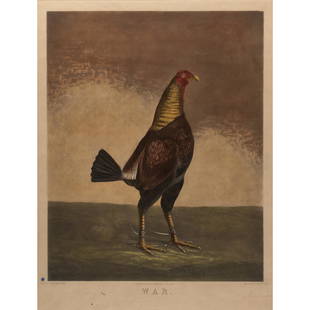 Cock Fighting Colored Engraving "War" by B. Marshall: War colored engraving Benjamin Marshall (English, 1768-1835) engraved by C. Turner London published by W.C. Lee Overall good condition.