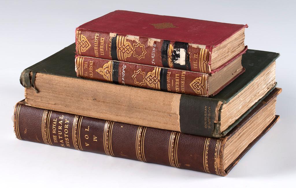 A Group of Four 19th Century Books on Natural History (1 of 5)