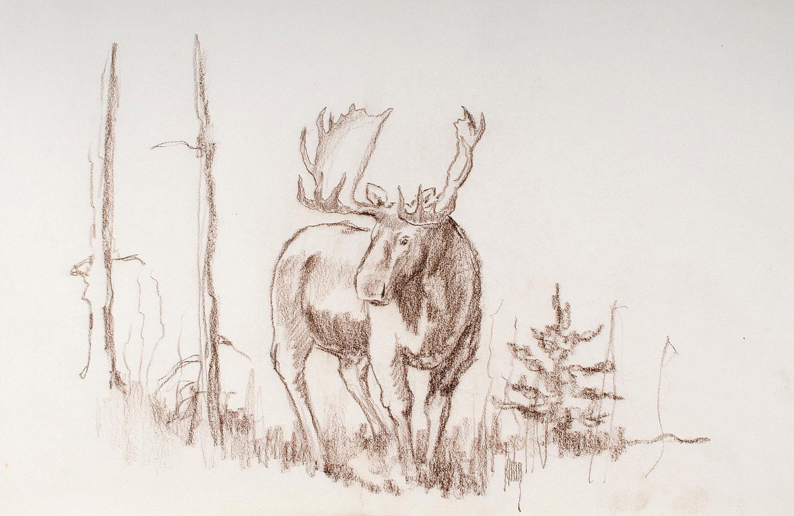 A Conte Crayon on Paper Moose Drawing by Bob Kuhn (1 of 3)