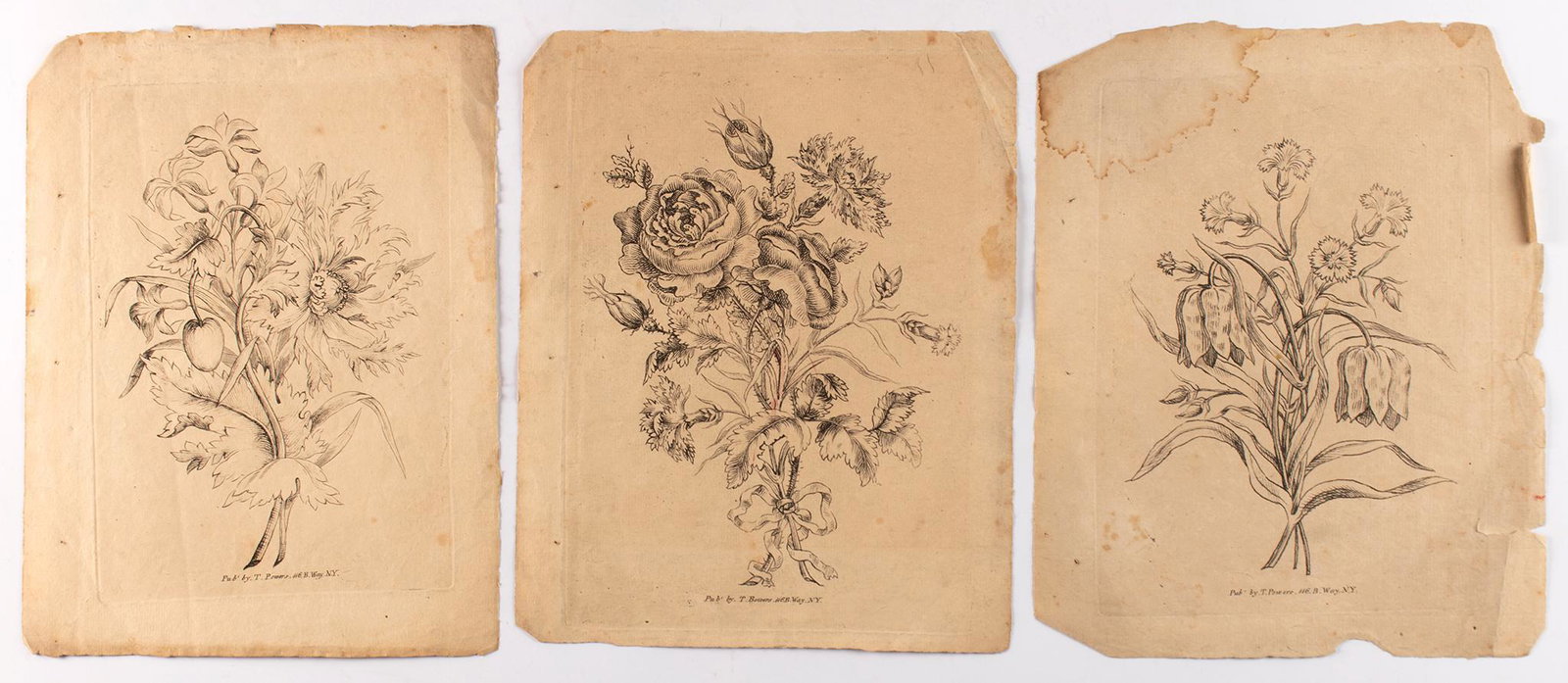 Botanicals etching on paper T. Bowers or T. Powers 10.25 x 8 inches (paper) unframed Overall good: Botanicals etching on paper T. Bowers or T. Powers 10.25 x 8 inches (paper) unframed Overall good condition.