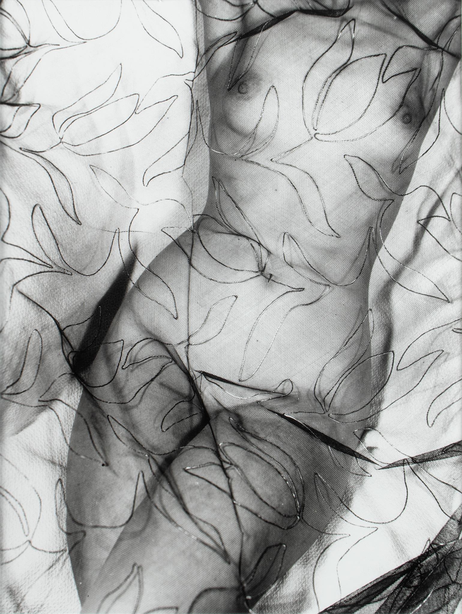 Gelatin Silver Print " Torso Under Silk" by Ferenc Berko: Torso Under Silk Gelatin silver print Signed, dated and titled on verso Edition #2 of 35 Ferenc Berko (Romanian, 1916-2000) 14 x 11 inches (image) 12.5 x 9.5 inches (sight) 24 x 20 inches (frame) Over