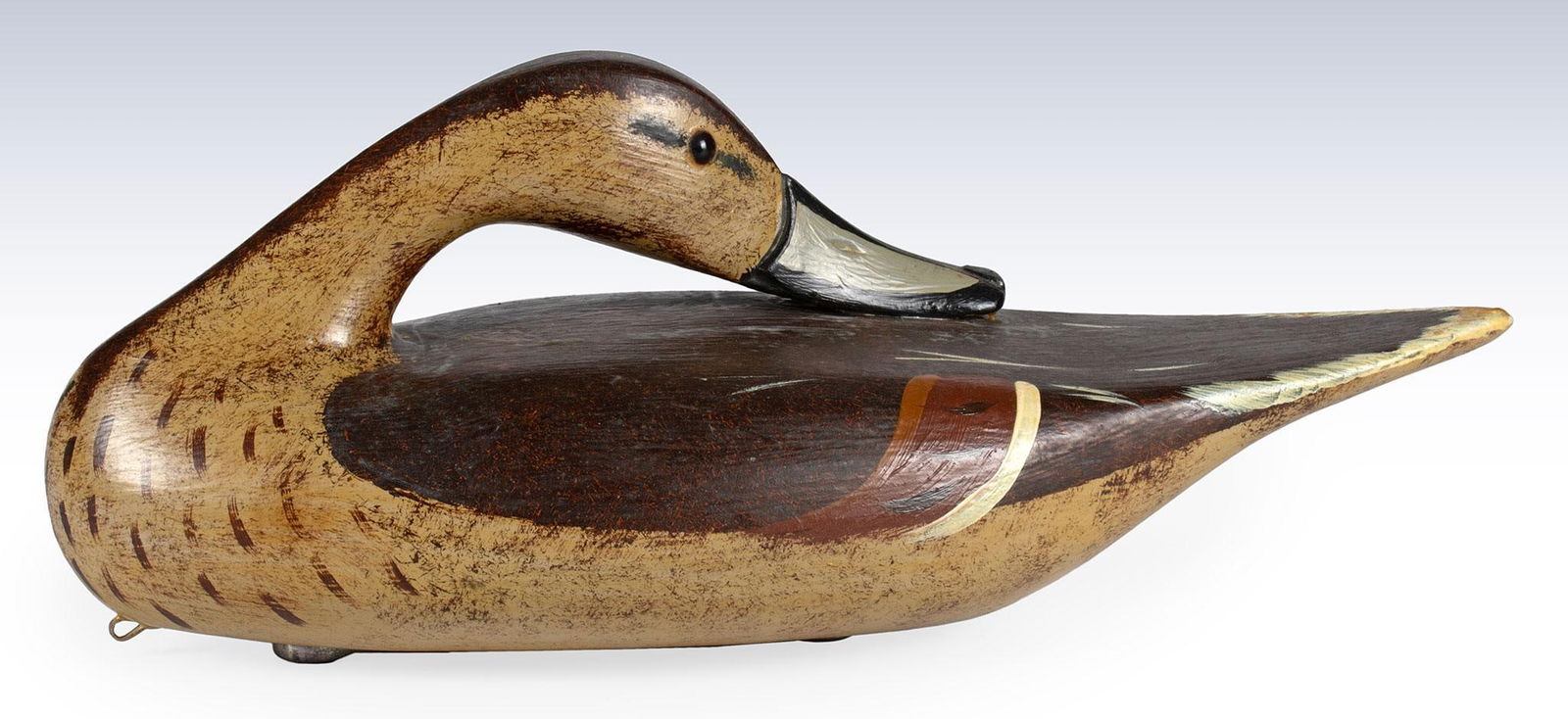 Carved and Painted Preening Pintail Drake Duck Decoy (1 of 4)
