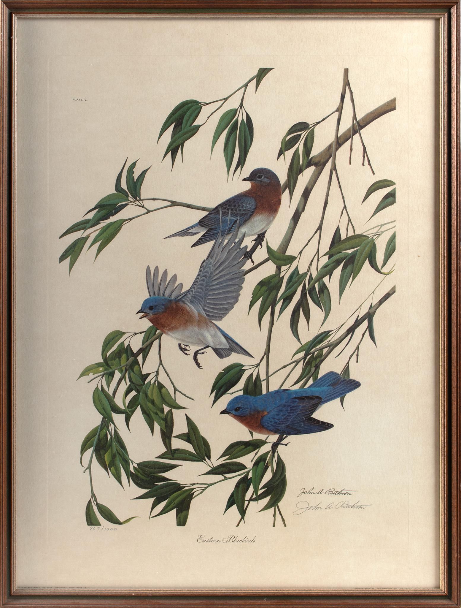 Goldfinch Engraving by John Ruthven (American, 1924-2020) (1 of 2)