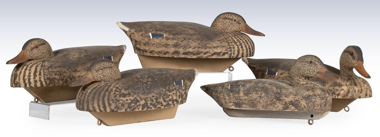 A Group of 5 Female Mallard Painted Duck Decoys: American, 20th century. A group of 5 carved and painted Mallard Hen duck decoys, each with glass eyes; ht. 6.75, wd. 15.5, dp. 6.5 inches. Overall good condition. Imperfections with age.