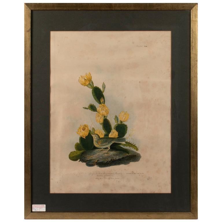 John James Audubon Chromolithograph by Julius Bien (New York, 1826-1909) (1 of 2)