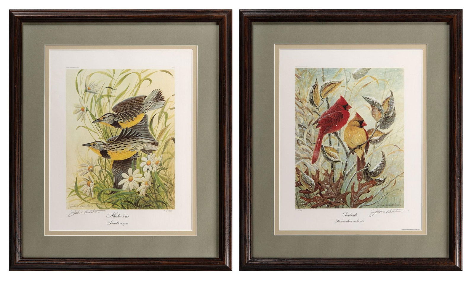 Two Ornithology Lithographs by John Ruthven (1 of 2)