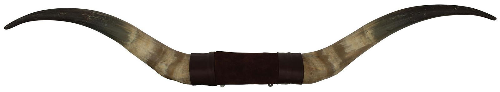 Texas Longhorn Steer Plaque (1 of 2)