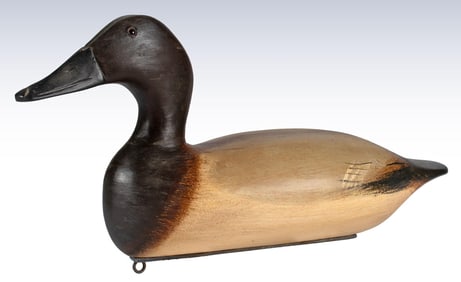 A Canvasback Hen Duck Decoy by Bert Graves