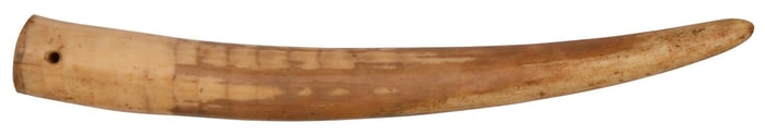 Northwest Coast Uncarved Walrus Tusk