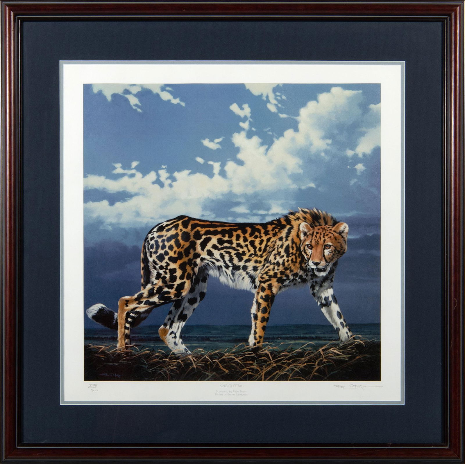 King Cheetah Wildlife Print by Catario (1 of 2)