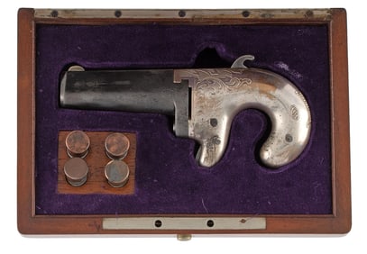 ** National Arms Single Shot Derringer
