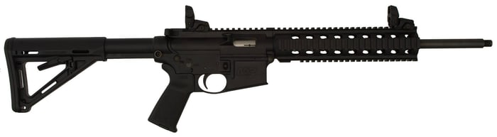*Smith & Wesson MP 15-22