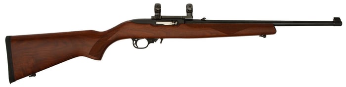 *Ruger Model 10/22 Rifle