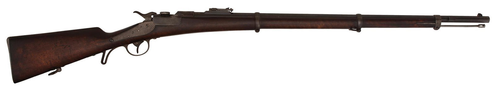 Model 1873 Werndl Infantry Rifle (1 of 7)