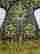 item-105144206=20