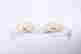 item-119219261=6
