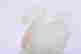 item-119219261=9
