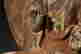 item-128162768=4