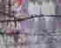 item-131683453=5