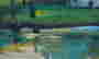 item-131683454=5