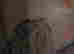item-131683459=5