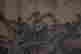 item-131683459=7