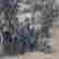 item-131683463=4