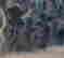 item-131683463=9